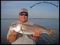 [Image: IMG_5742_sight_fish_redfish_s.JPG]