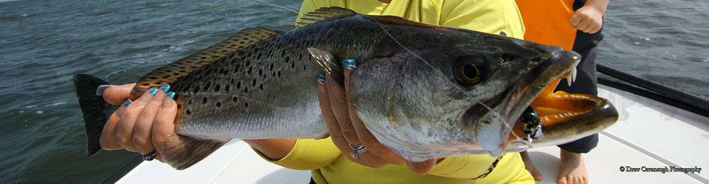 Orlando Saltwater Flats Fishing FAQS • Mosquito Lagoon Flats