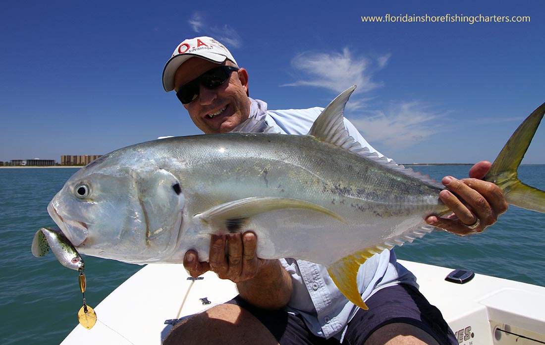 Florida Saltwater Species • Barracuda • Snapper • Shark • Tuna