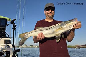 Light Tackle Saltwater Fishing Charters Near Orlando and Disney Florida